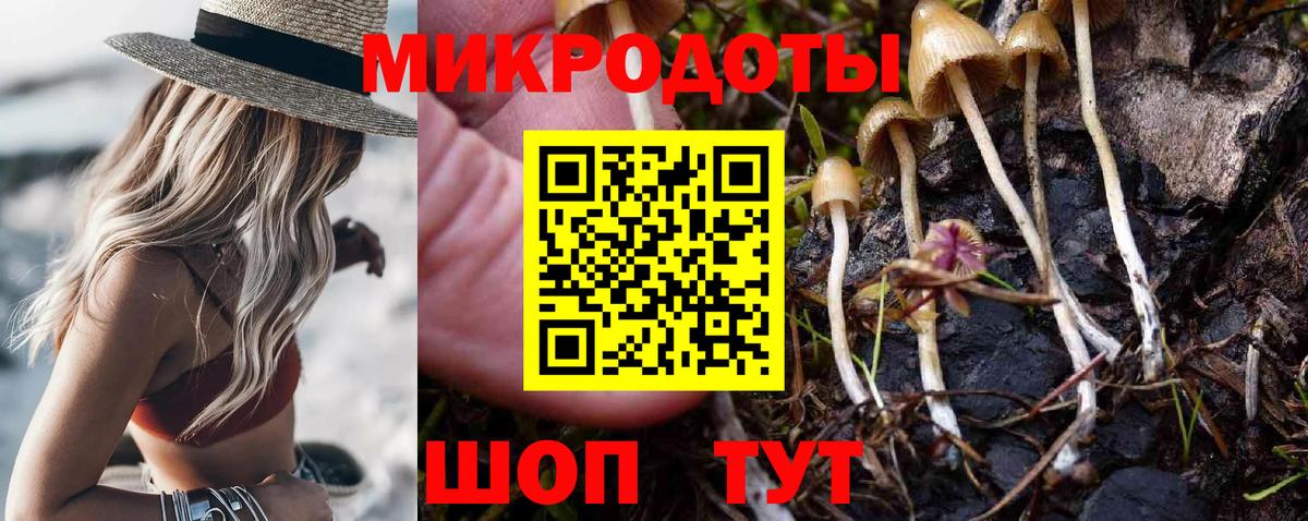 Галлюциногенные грибы мицелий Бузулук