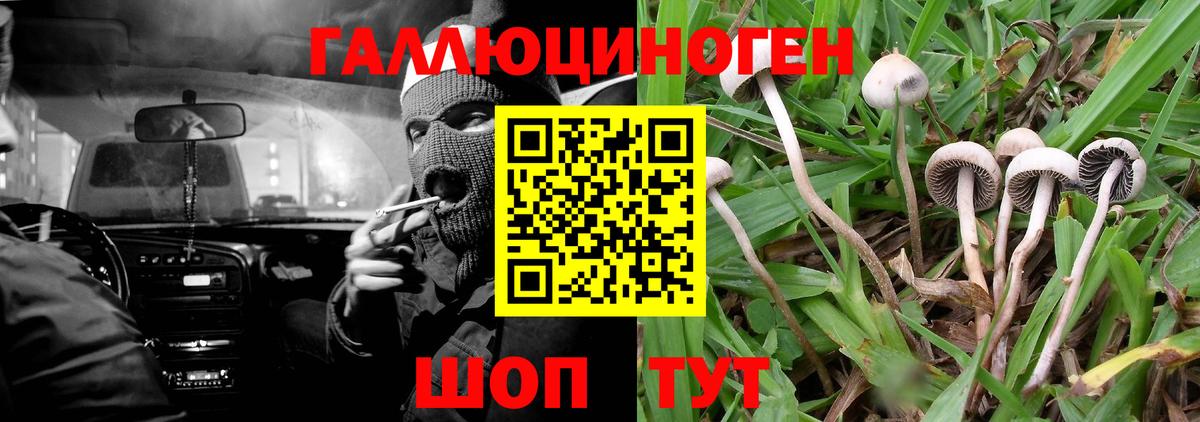 Псилоцибиновые грибы MAGIC MUSHROOMS  Псилоцибиновые грибы мицелий  Бузулук  Вход с VPN 